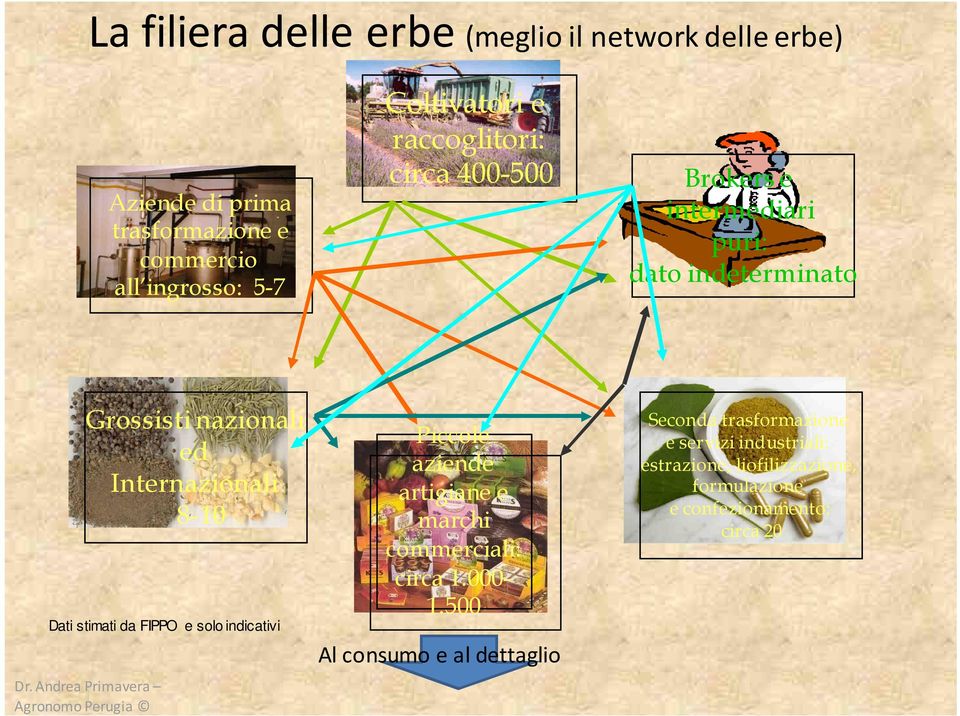 da FIPPO e solo indicativi Dr. Andrea Primavera Agronomo Perugia Piccole aziende artigiane e marchi commerciali: circa 1.000-1.