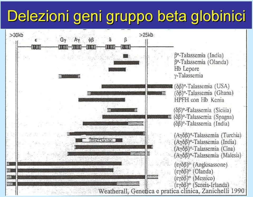 gruppo