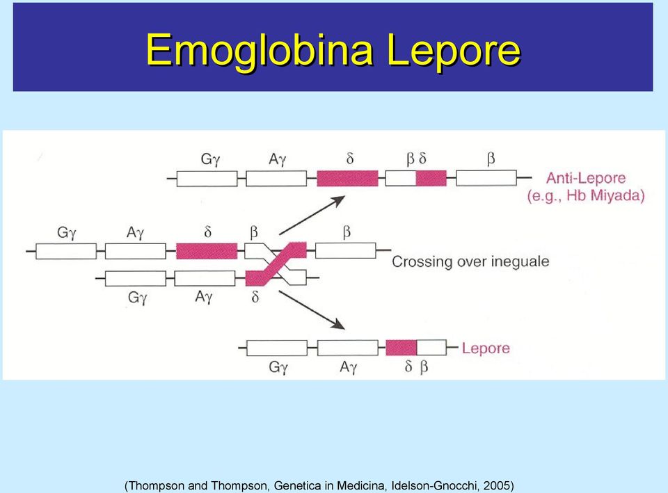 Thompson, Genetica in