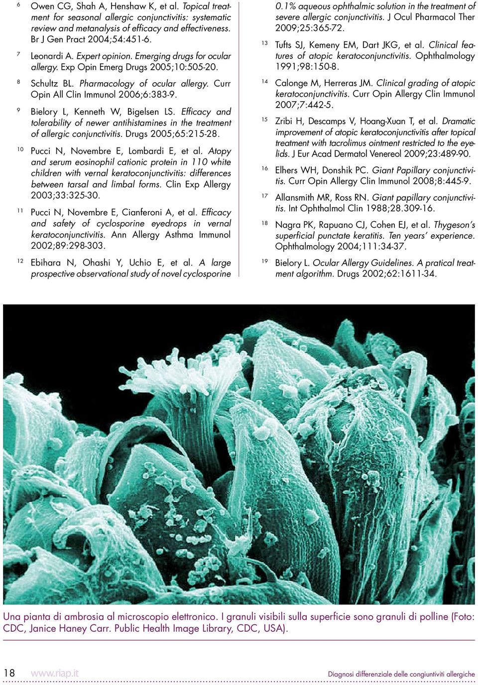 9 Bielory L, Kenneth W, Bigelsen LS. Efficacy and tolerability of newer antihistamines in the treatment of allergic conjunctivitis. Drugs 2005;65:215-28. 10 Pucci N, Novembre E, Lombardi E, et al.