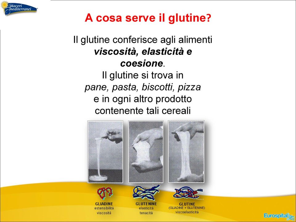 elasticità e coesione.