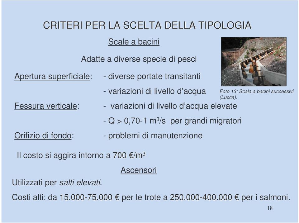 0,70-1 m 3 /s per grandi migratori - problemi di manutenzione Foto 13: Scala a bacini successivi (Lucca).