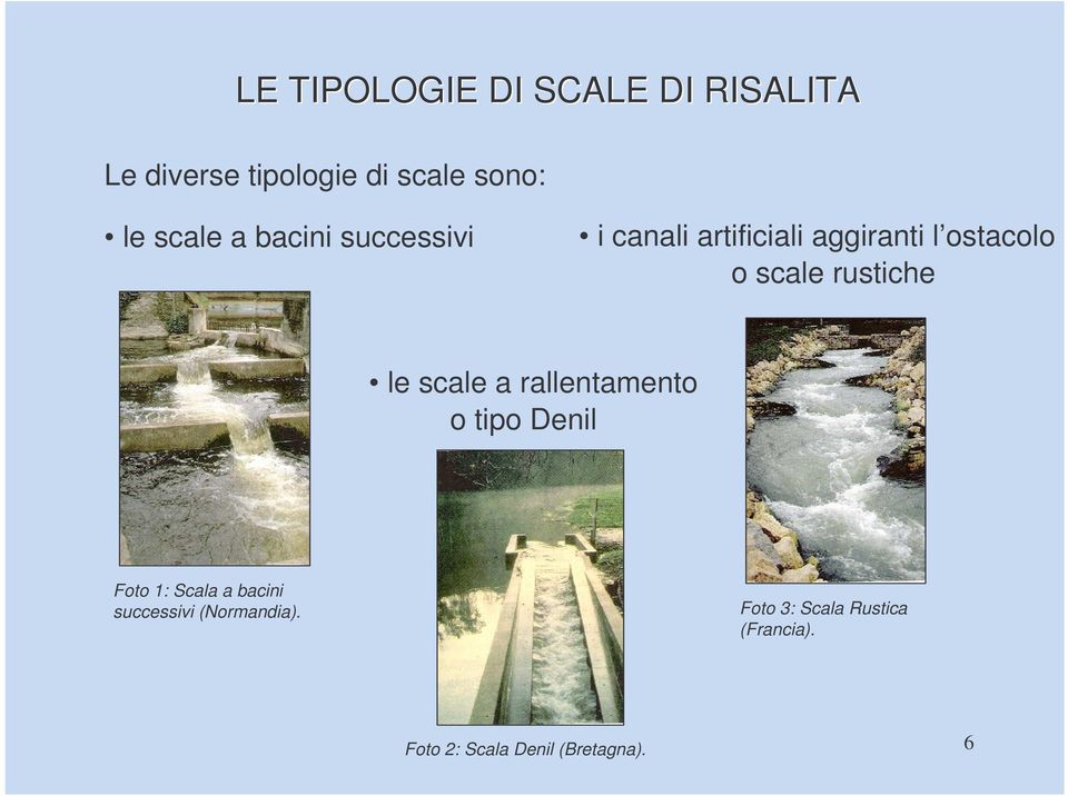 rustiche le scale a rallentamento o tipo Denil Foto 1: Scala a bacini