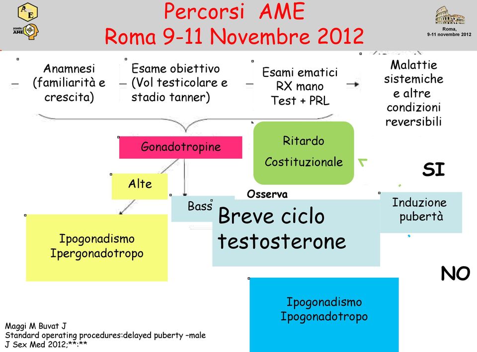 Costituzionale Breve ciclo testosterone Malattie sistemiche e altre condizioni reversibili Induzione pubertà