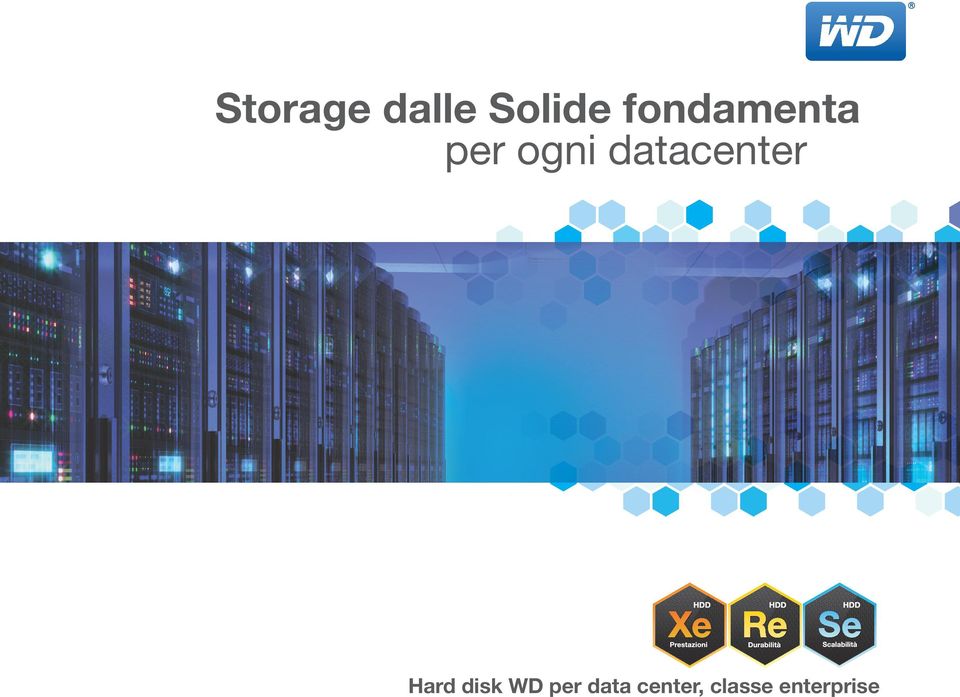 datacenter Hard disk WD