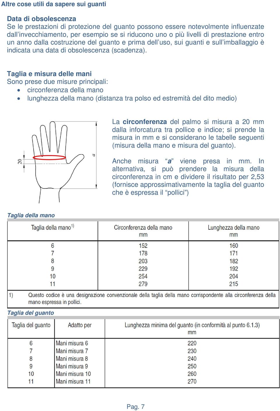Taglia e misura delle mani Sono prese due misure principali: circonferenza della mano lunghezza della mano (distanza tra polso ed estremità del dito medio) La circonferenza del palmo si misura a 20