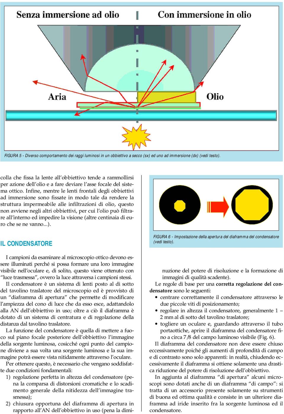 Infine, mentre le lenti frontali degli obbiettivi ad immersione sono fissate in modo tale da rendere la struttura impermeabile alle infiltrazioni di olio, questo non avviene negli altri obbiettivi,