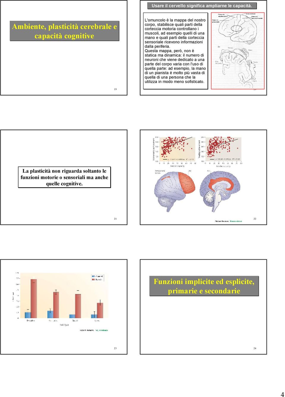 mano e quali parti della corteccia sensoriale ricevono informazioni dalla periferia.