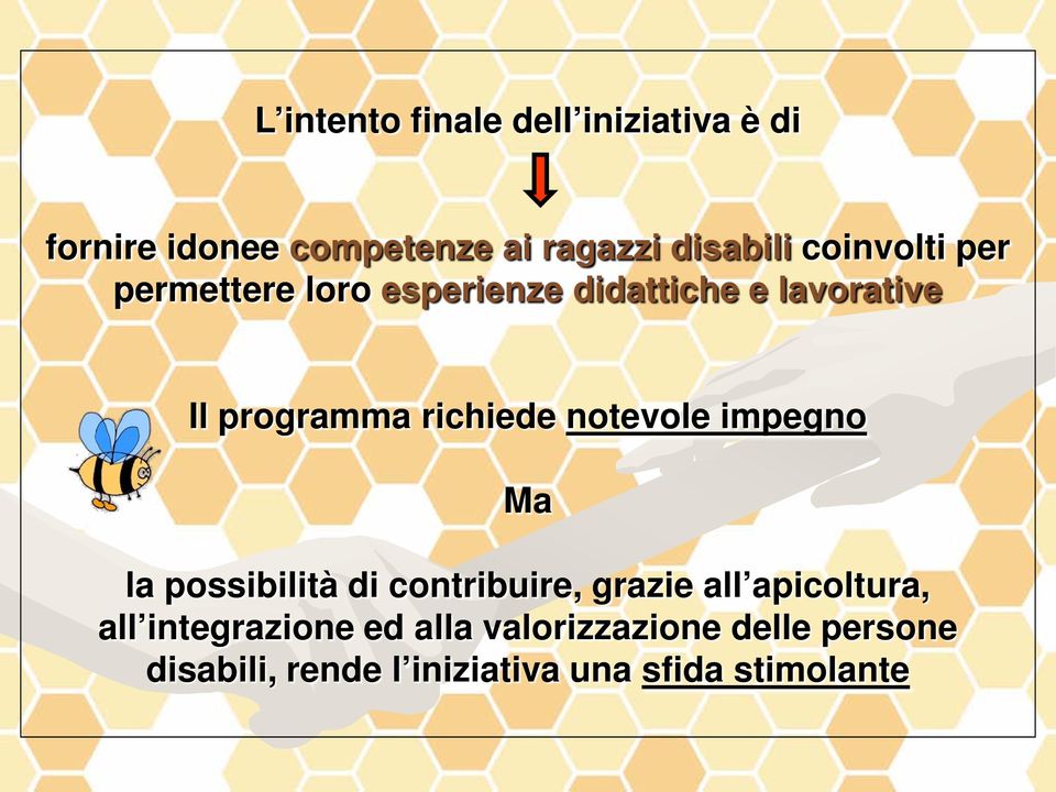 notevole impegno Ma la possibilità di contribuire, grazie all apicoltura, all