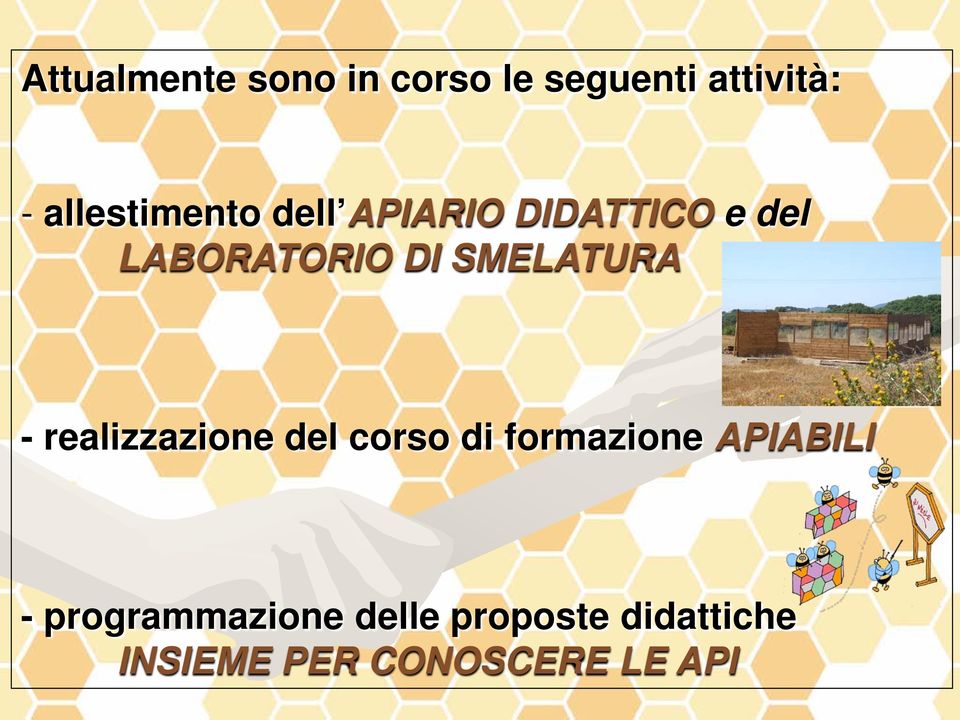 SMELATURA - realizzazione del corso di formazione APIABILI