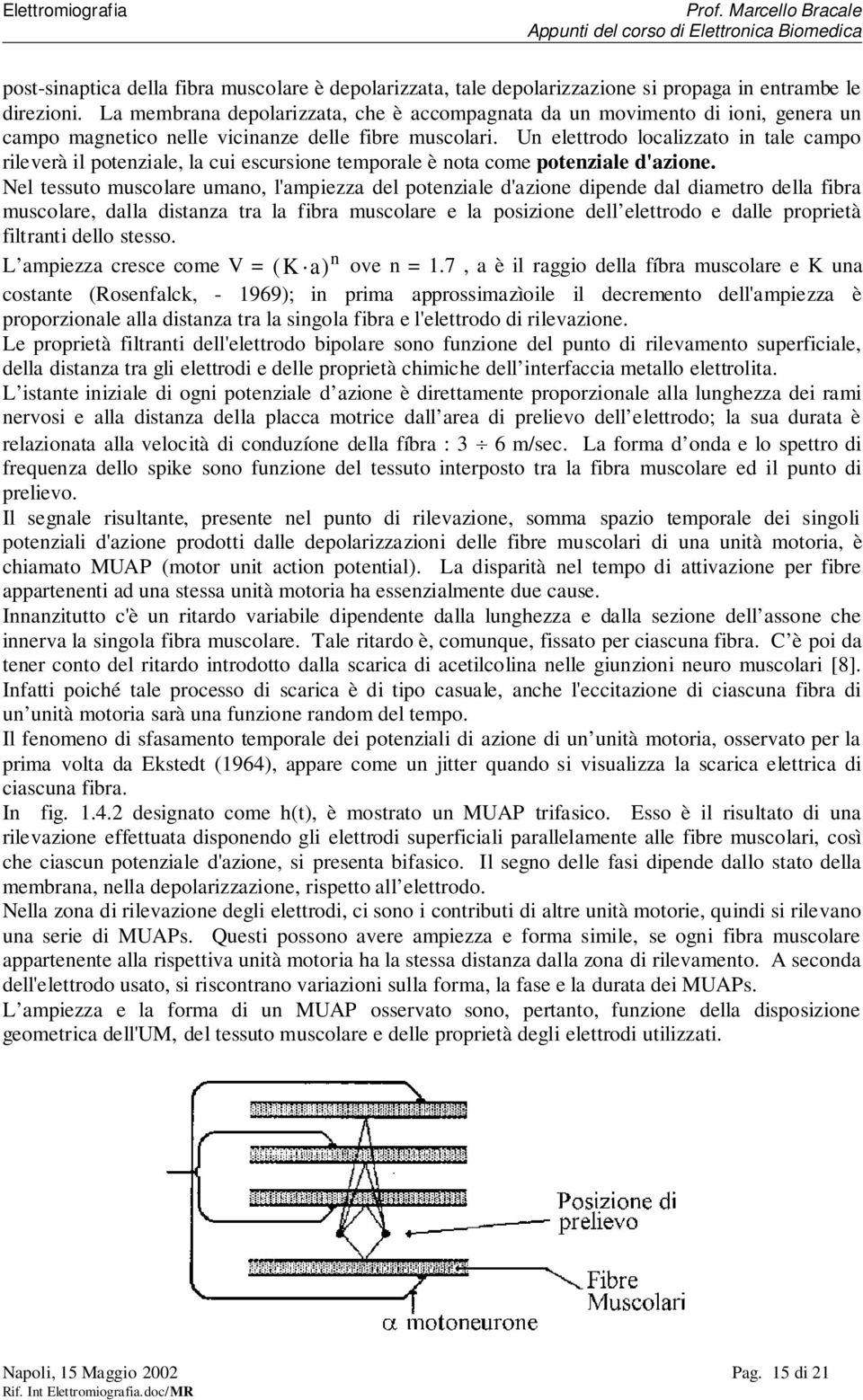 Un elettrodo localizzato in tale campo rileverà il potenziale, la cui escursione temporale è nota come potenziale d'azione.