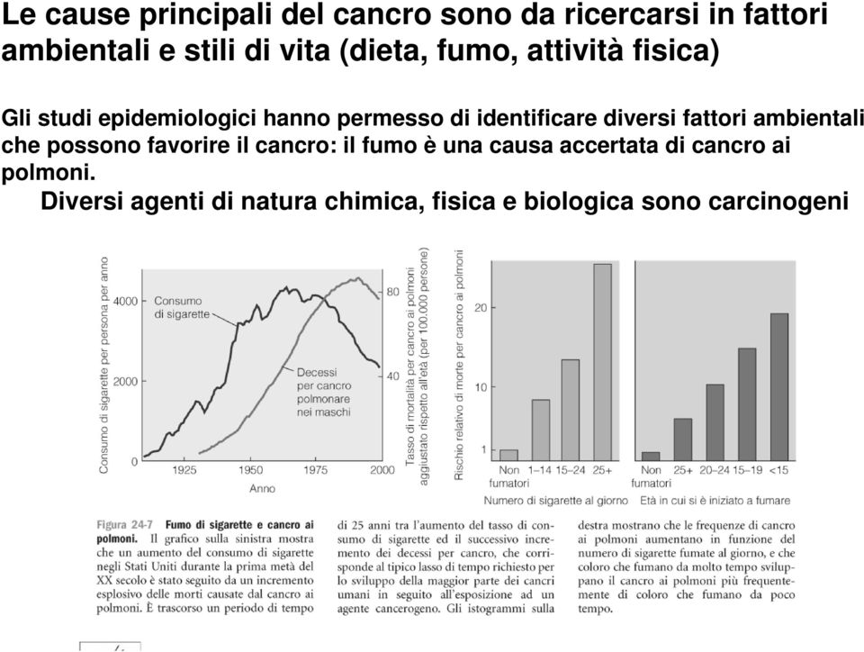 diversi fattori ambientali che possono favorire il cancro: il fumo è una causa accertata