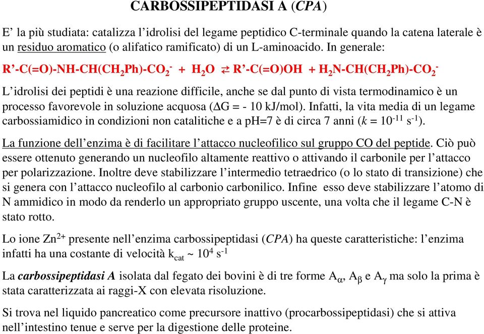 favorevole in soluzione acquosa ( G = - 10 kj/mol). Infatti, la vita media di un legame carbossiamidico in condizioni non catalitiche e a ph=7 è di circa 7 anni (k = 10-11 s -1 ).