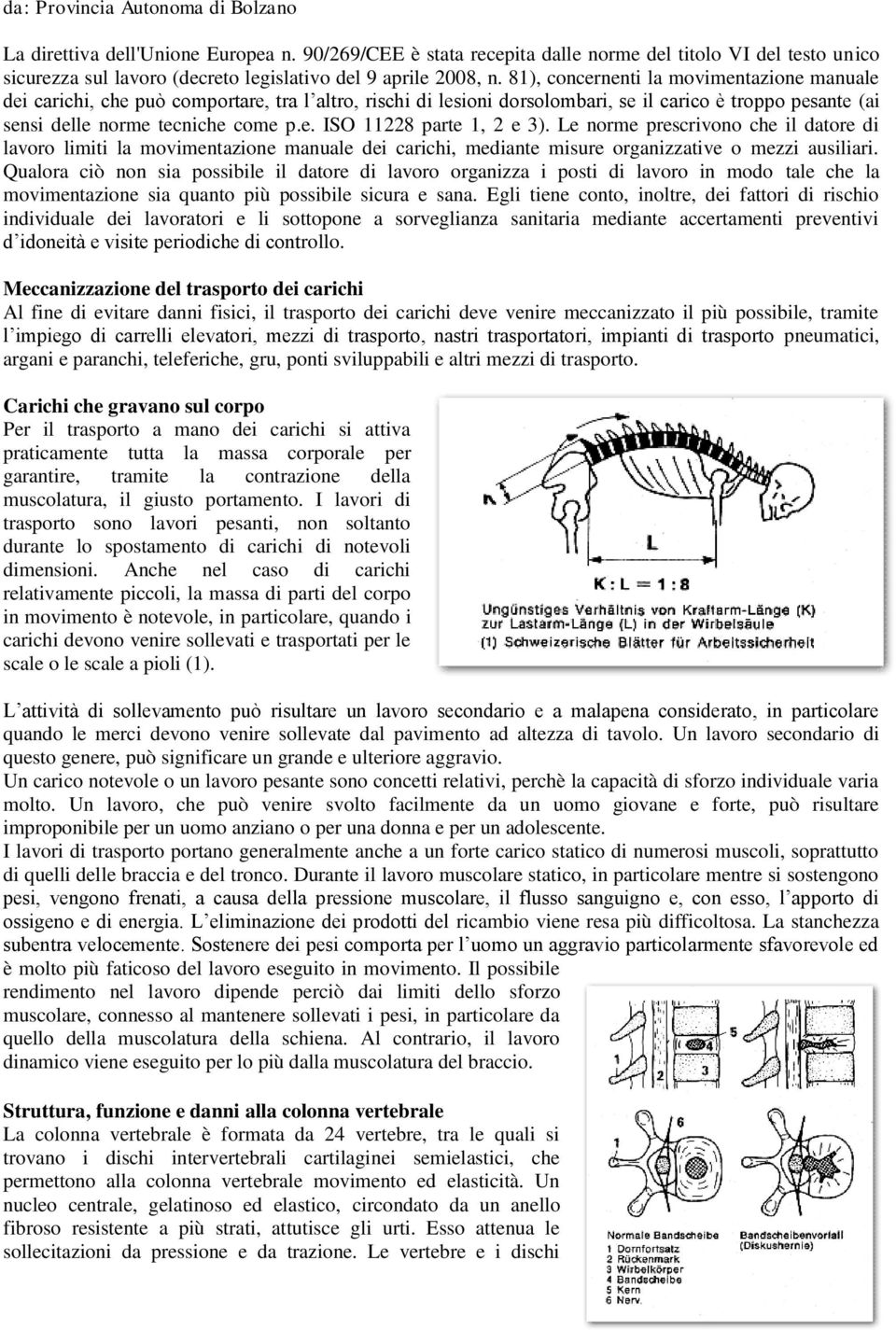 81), concernenti la movimentazione manuale dei carichi, che può comportare, tra l altro, rischi di lesioni dorsolombari, se il carico è troppo pesante (ai sensi delle norme tecniche come p.e. ISO 11228 parte 1, 2 e 3).