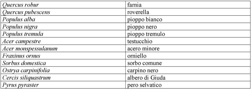 Cercis siliquastrum Pyrus pyraster farnia roverella pioppo bianco pioppo nero pioppo