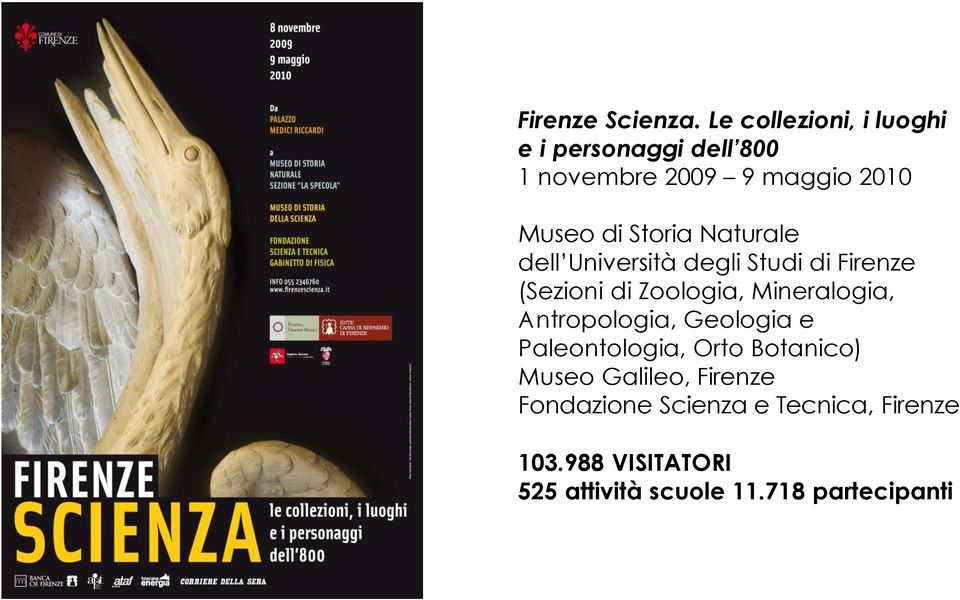 Storia Naturale dell Università degli Studi di Firenze (Sezioni di Zoologia, Mineralogia,