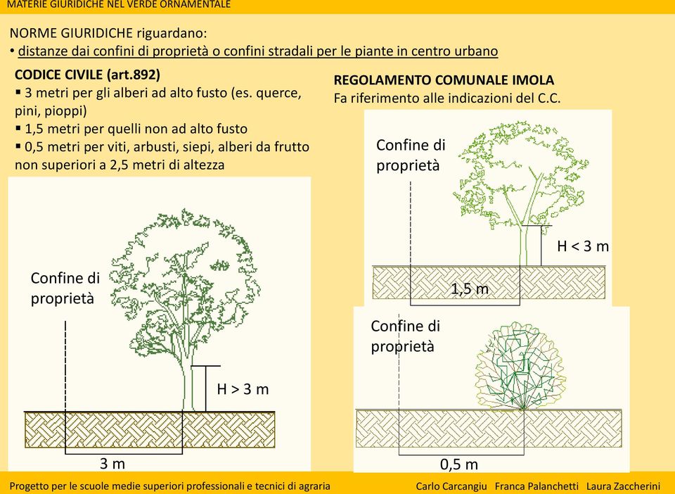 querce, pini, pioppi) 1,5 metri per quelli non ad alto fusto 0,5 metri per viti, arbusti, siepi, alberi da frutto