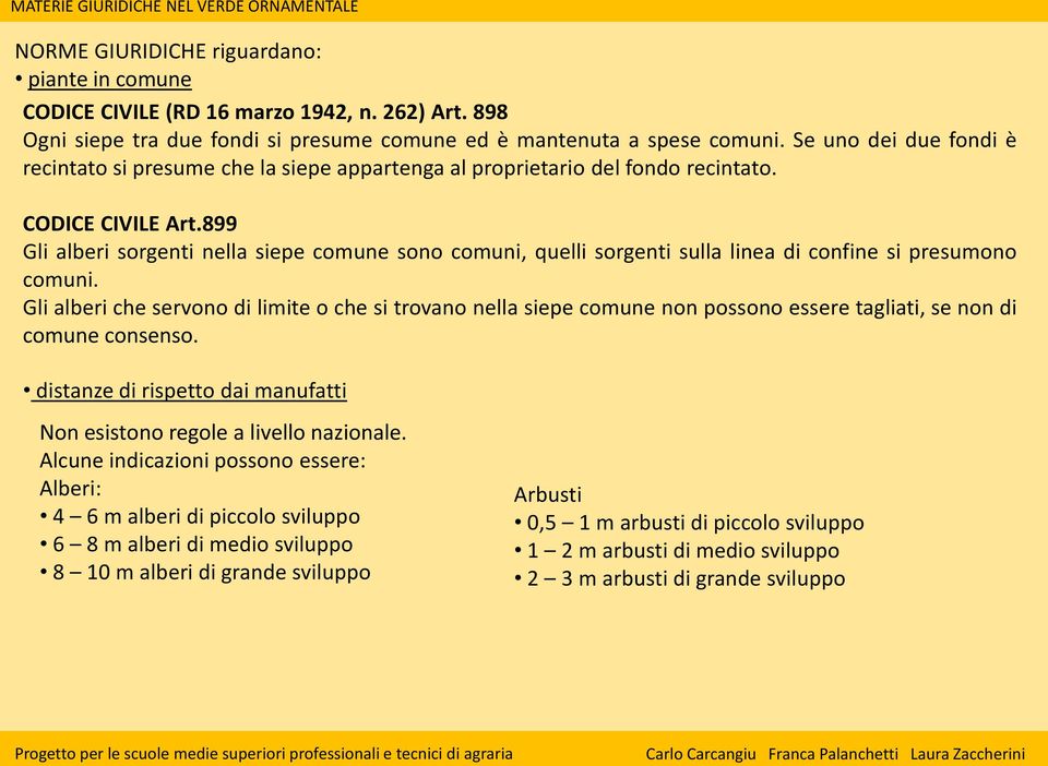 899 Gli alberi sorgenti nella siepe comune sono comuni, quelli sorgenti sulla linea di confine si presumono comuni.