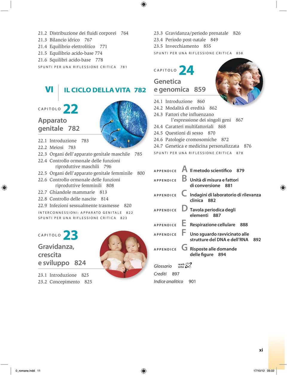 3 Organi dell apparato genitale maschile 785 22.4 Controllo ormonale delle funzioni riproduttive maschili 796 22.5 Organi dell apparato genitale femminile 800 22.