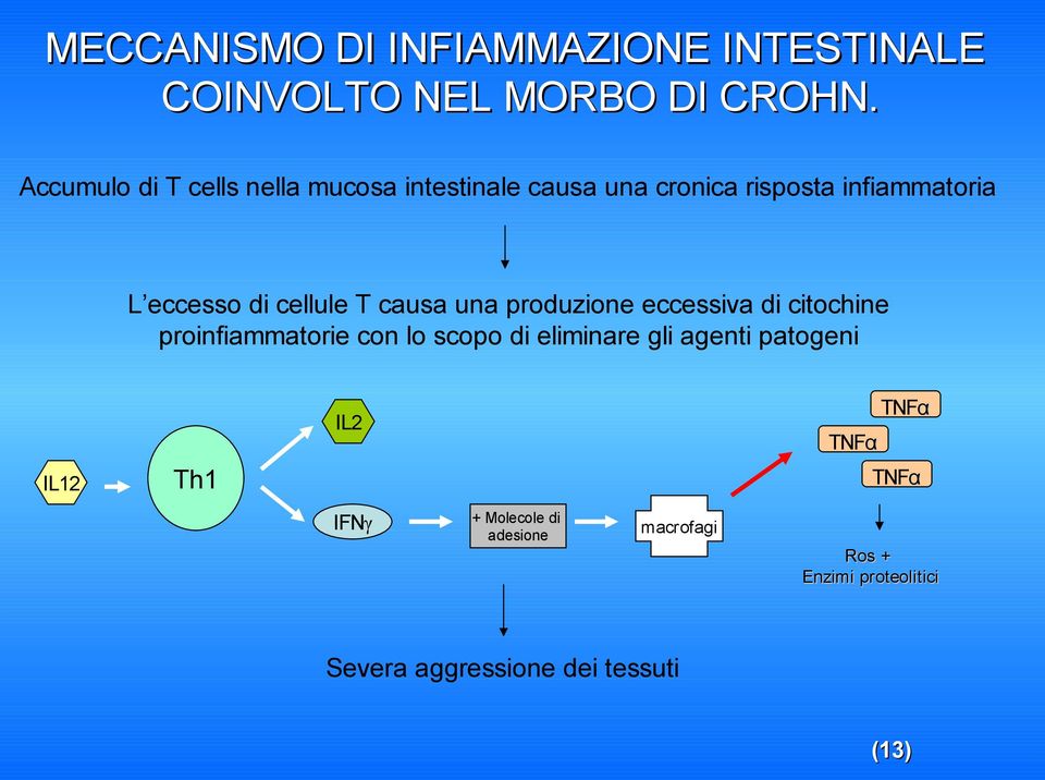 cellule T causa una produzione eccessiva di citochine proinfiammatorie con lo scopo di eliminare gli