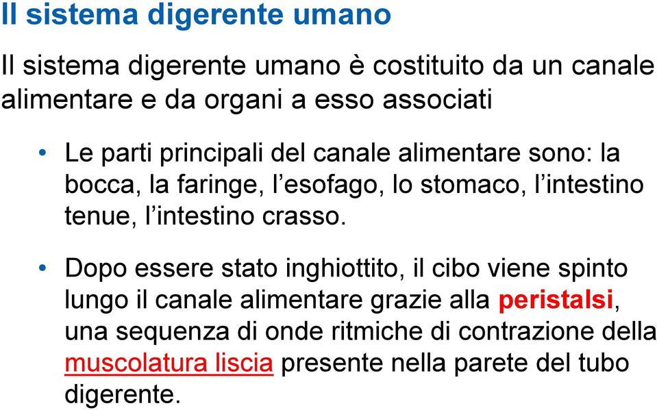 tenue, l intestino crasso.