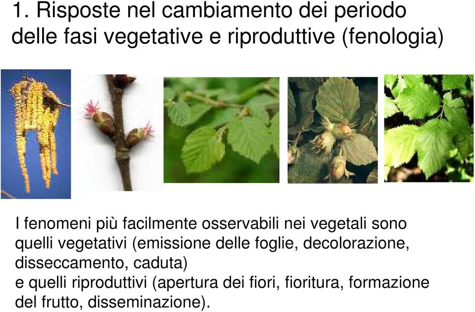 vegetativi (emissione delle foglie, decolorazione, disseccamento, caduta) e