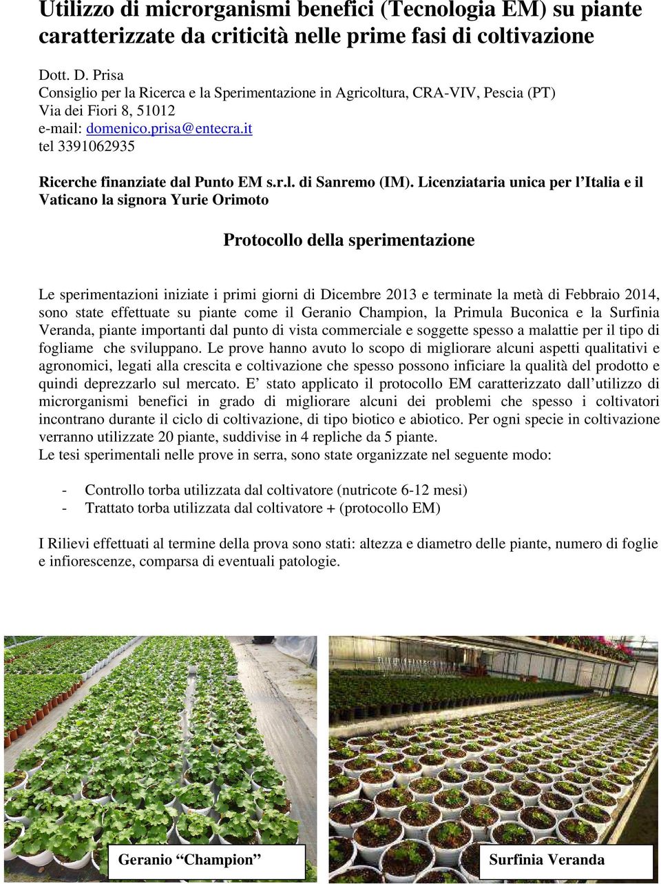 it tel 3391062935 Ricerche finanziate dal Punto EM s.r.l. di Sanremo (IM).