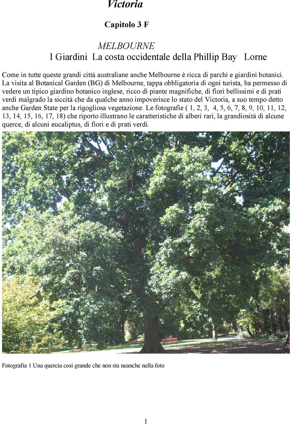 prati verdi malgrado la siccità che da qualche anno impoverisce lo stato del Victoria, a suo tempo detto anche Garden State per la rigogliosa vegetazione.