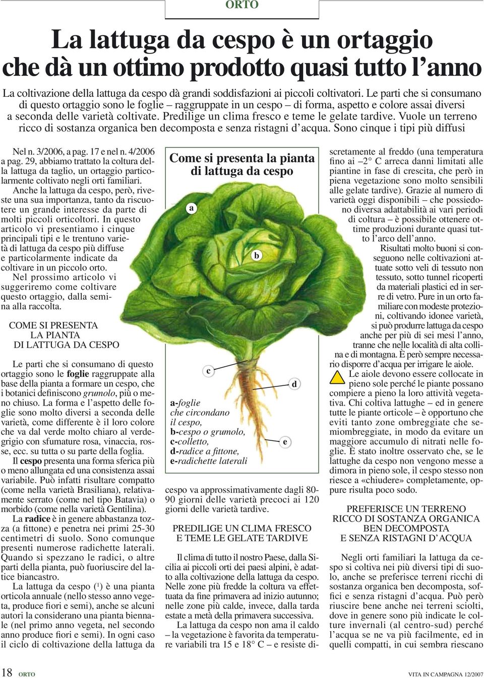 Predilige un clima fresco e teme le gelate tardive. Vuole un terreno ricco di sostanza organica ben decomposta e senza ristagni d acqua. Sono cinque i tipi più diffusi Nel n. 3/2006, a pag.