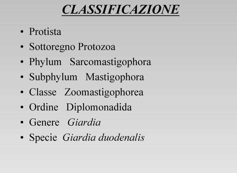 Mastigophora Classe Zoomastigophorea Ordine