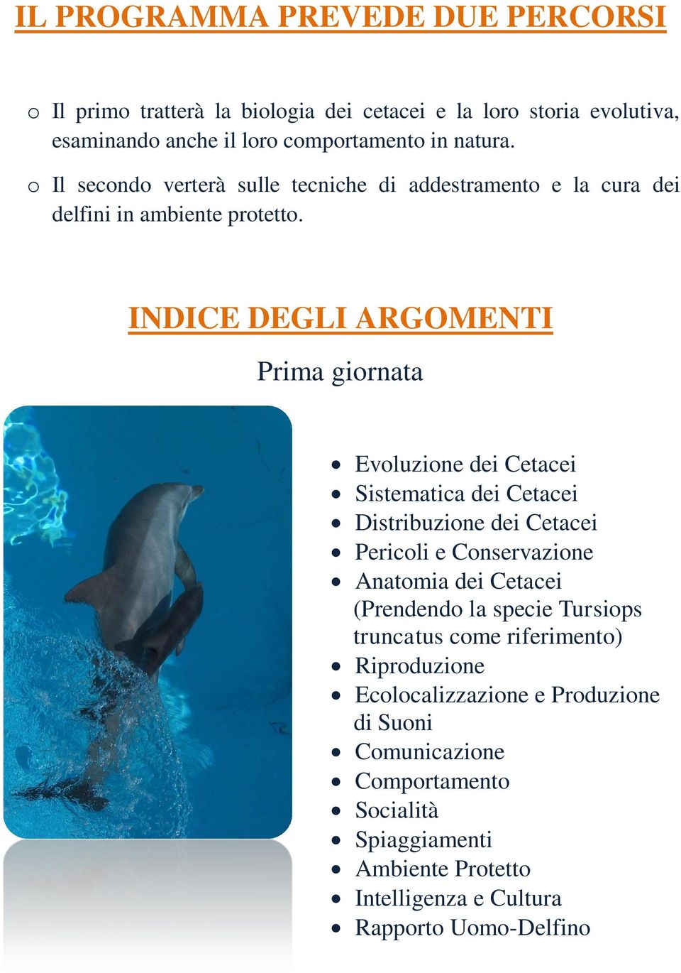 INDICE DEGLI ARGOMENTI Prima giornata Evoluzione dei Cetacei Sistematica dei Cetacei Distribuzione dei Cetacei Pericoli e Conservazione Anatomia dei Cetacei