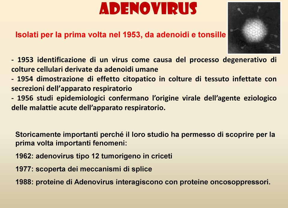 origine virale dell agente eziologico delle malattie acute dell apparato respiratorio.