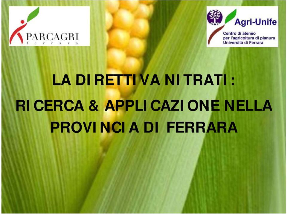 & APPLICAZIONE