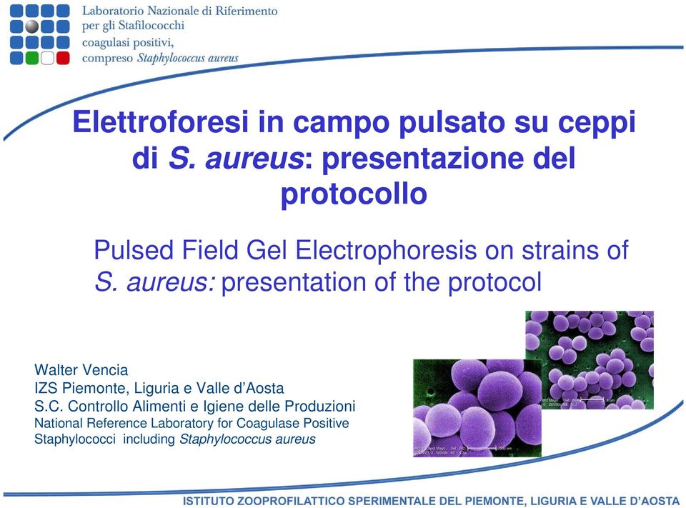 aureus: presentation of the protocol Walter Vencia IZS Piemonte, Liguria e Valle d Aosta S.C.