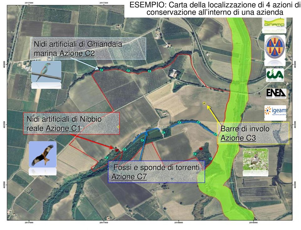 VEDERE DELLE AZIENDE ESEMPLIFICATIVE PER OGNI AZIONE Nidi artificiali di