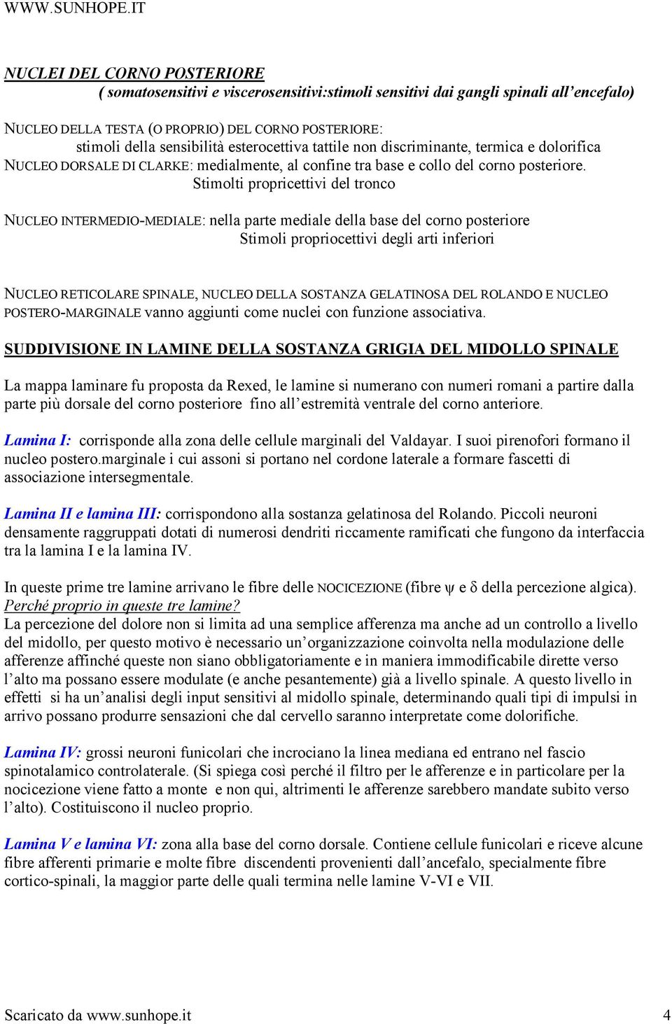 Stimolti propricettivi del tronco NUCLEO INTERMEDIO-MEDIALE: nella parte mediale della base del corno posteriore Stimoli propriocettivi degli arti inferiori NUCLEO RETICOLARE SPINALE, NUCLEO DELLA