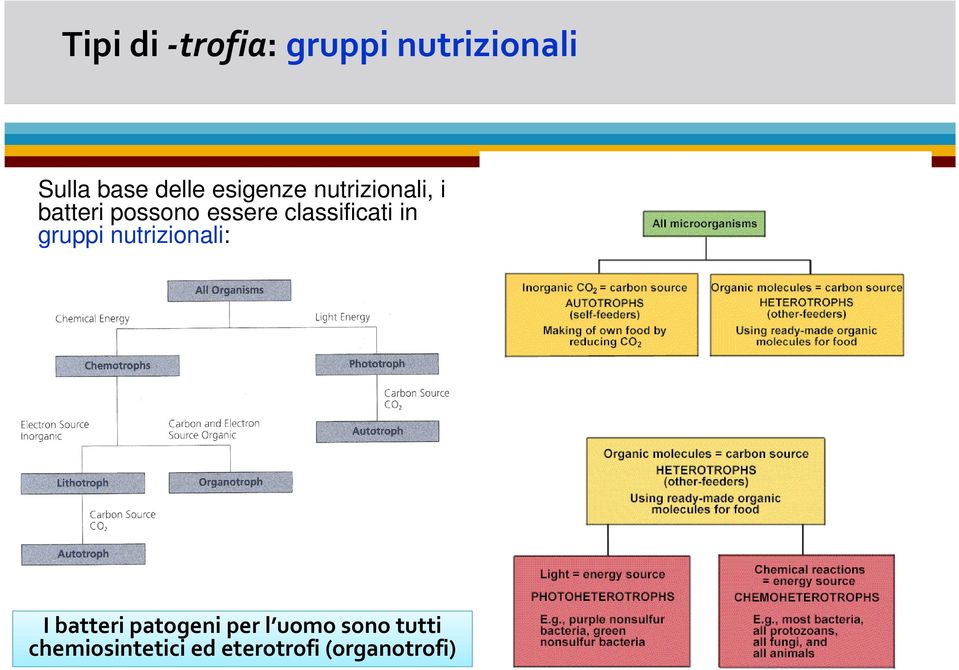 nutrizionali: I batteri patogeni per l uomo sono tutti I batteri