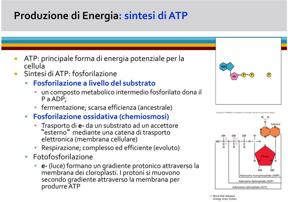 Trasportodie-daun substratoad un accettore esterno mediante una catena di trasporto elettronica(membrana cellulare) Respirazione; complesso ed