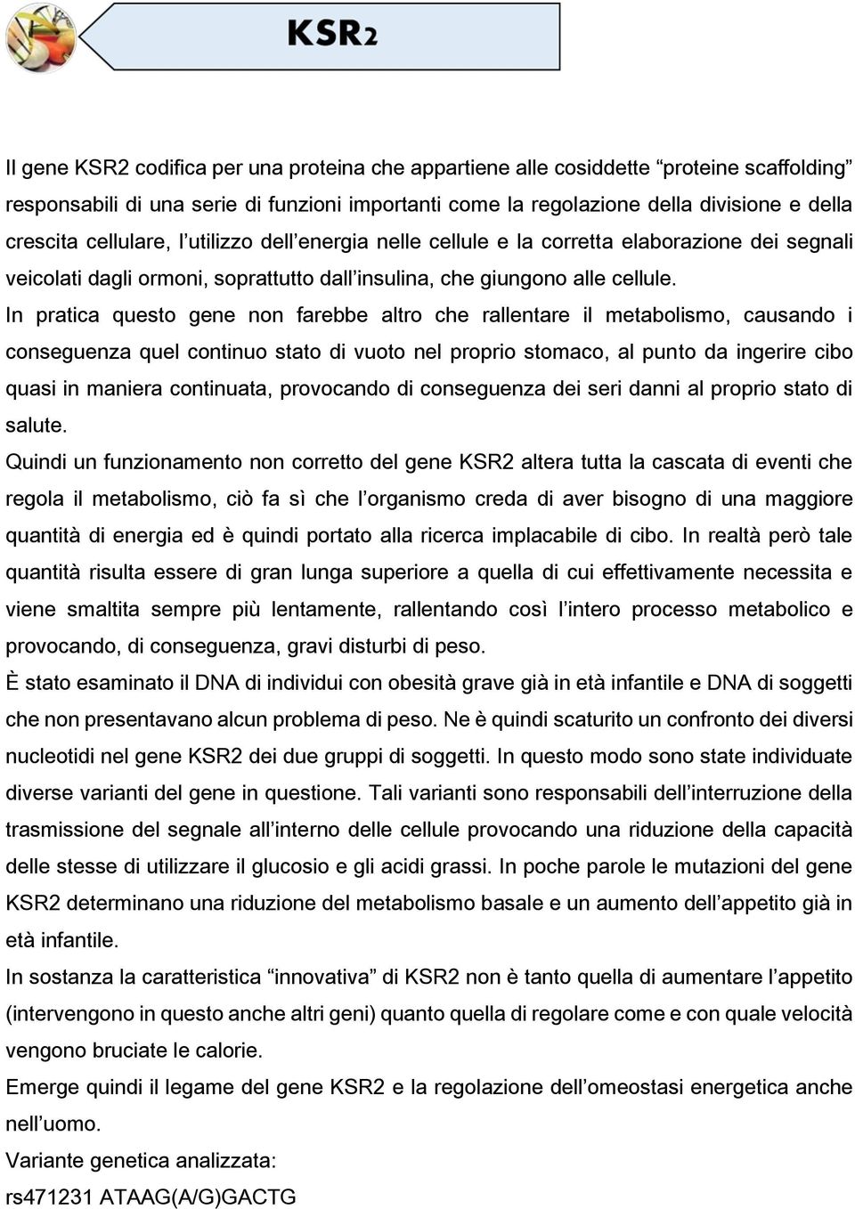 In pratica questo gene non farebbe altro che rallentare il metabolismo, causando i conseguenza quel continuo stato di vuoto nel proprio stomaco, al punto da ingerire cibo quasi in maniera continuata,