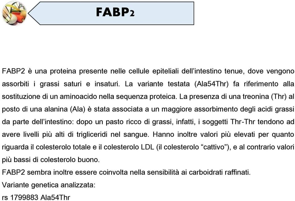 La presenza di una treonina (Thr) al posto di una alanina (Ala) e stata associata a un maggiore assorbimento degli acidi grassi da parte dell intestino: dopo un pasto ricco di grassi, infatti, i