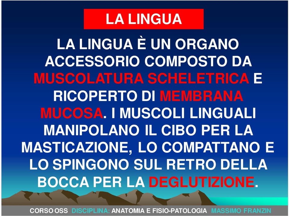 I MUSCOLI LINGUALI MANIPOLANO IL CIBO PER LA MASTICAZIONE,