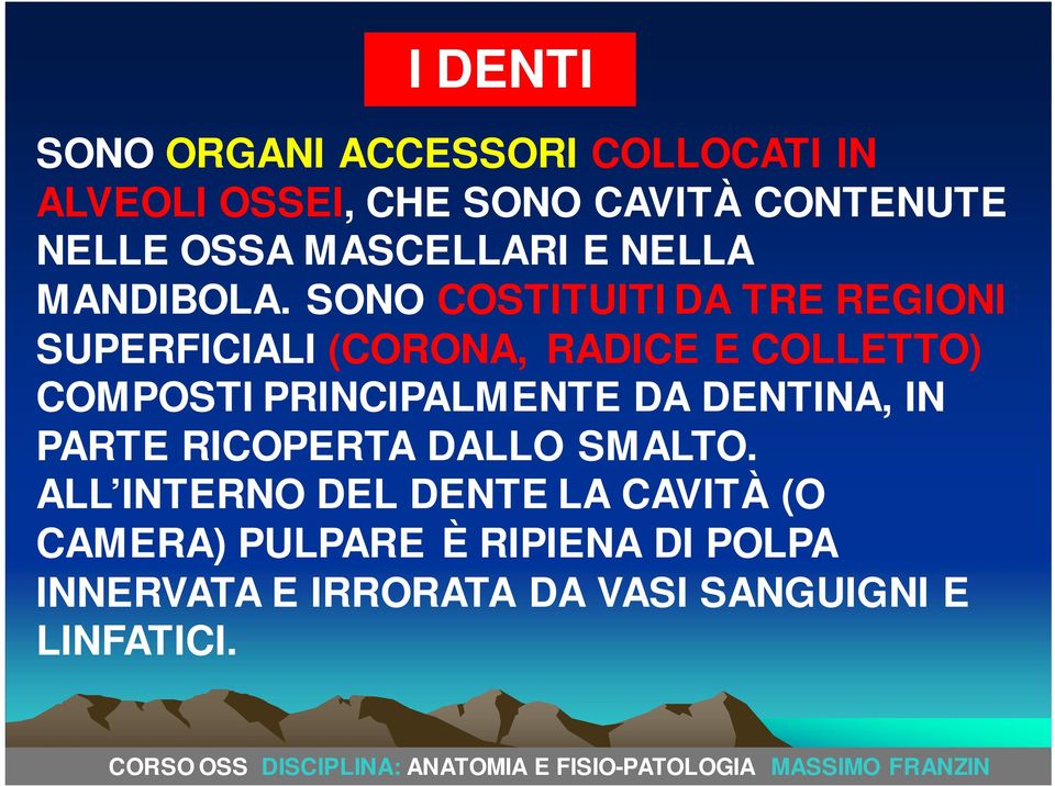 SONO COSTITUITI DA TRE REGIONI SUPERFICIALI (CORONA, RADICE E COLLETTO) COMPOSTI PRINCIPALMENTE