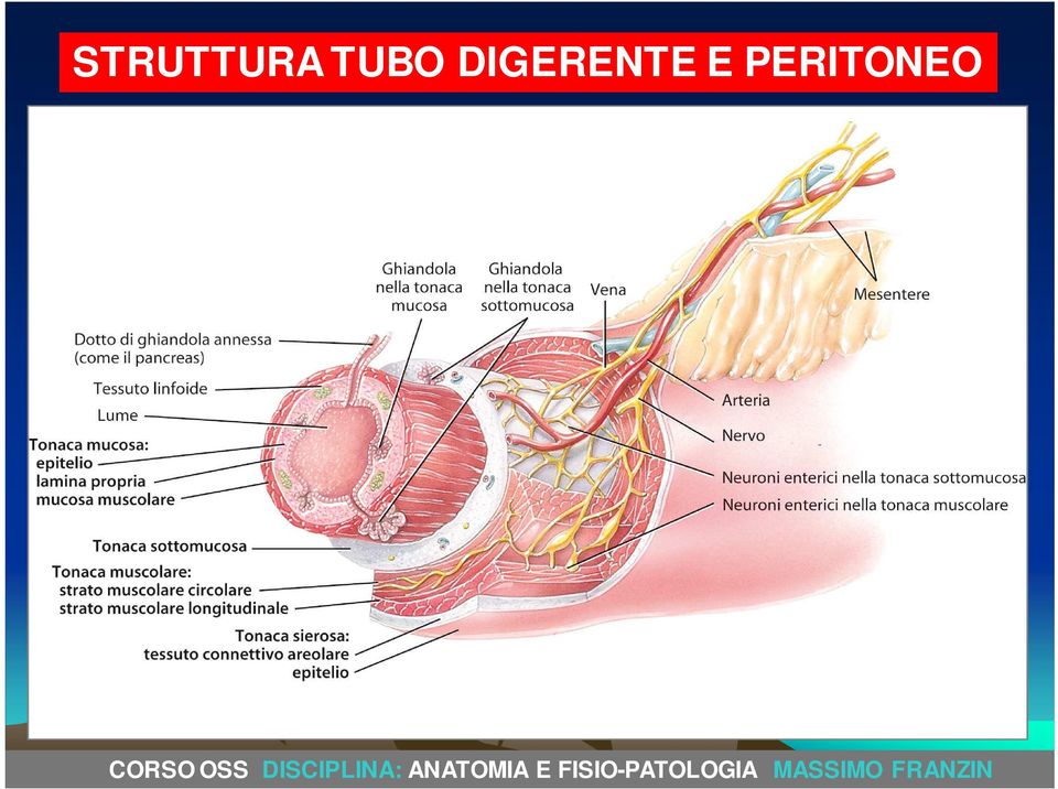 DIGERENTE