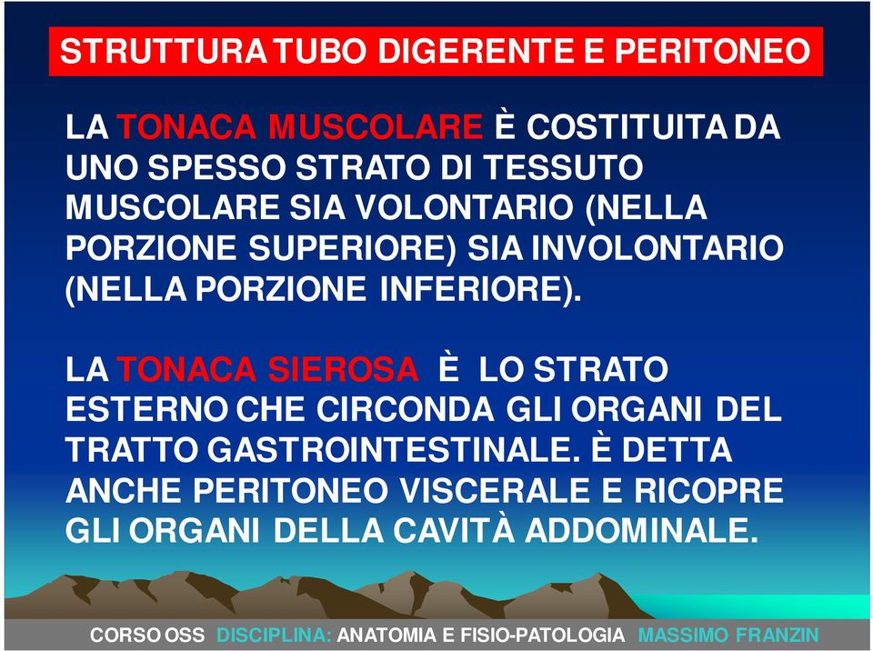 PORZIONE INFERIORE).