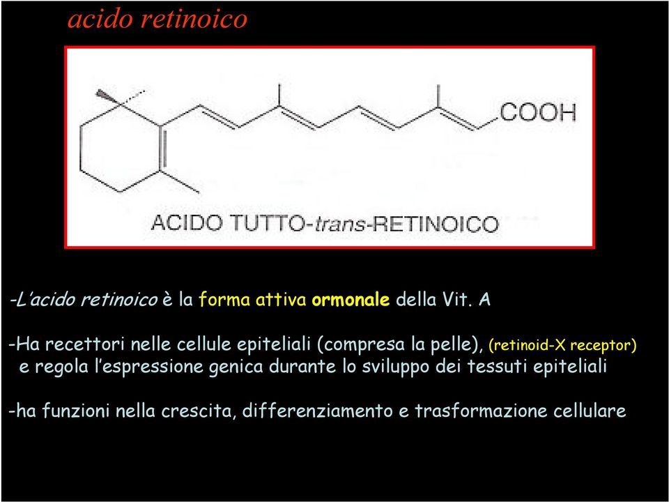 receptor) e regola l espressione genica durante lo sviluppo dei tessuti