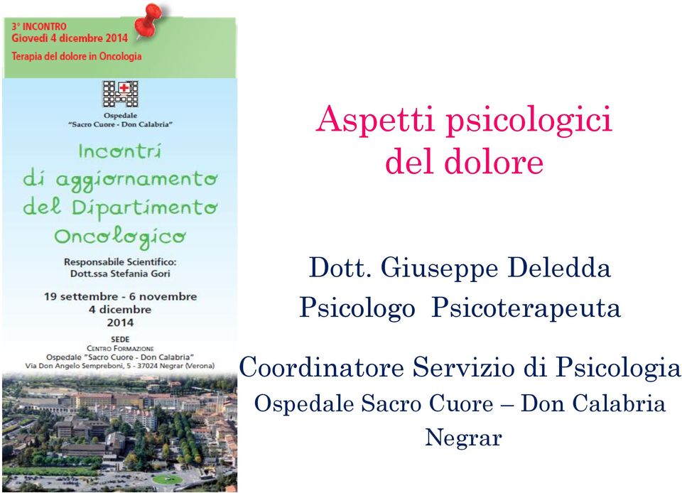 Psicoterapeuta Coordinatore Servizio