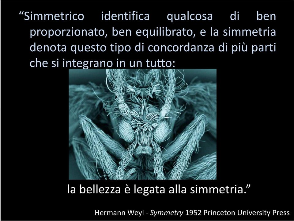 di più parti chesiintegranoinuntutto: la bellezza è legata