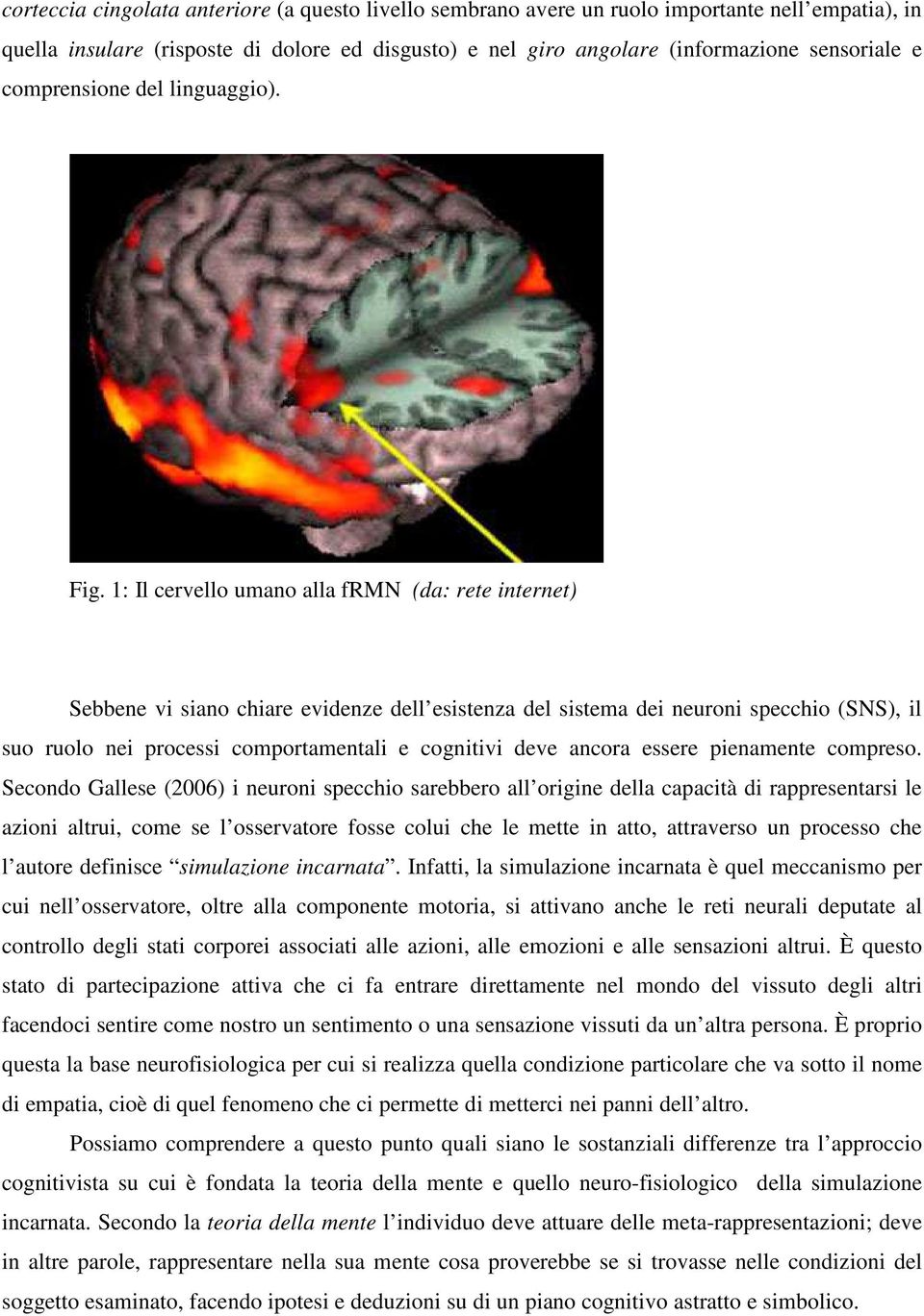 1: Il cervello umano alla frmn (da: rete internet) Sebbene vi siano chiare evidenze dell esistenza del sistema dei neuroni specchio (SNS), il suo ruolo nei processi comportamentali e cognitivi deve