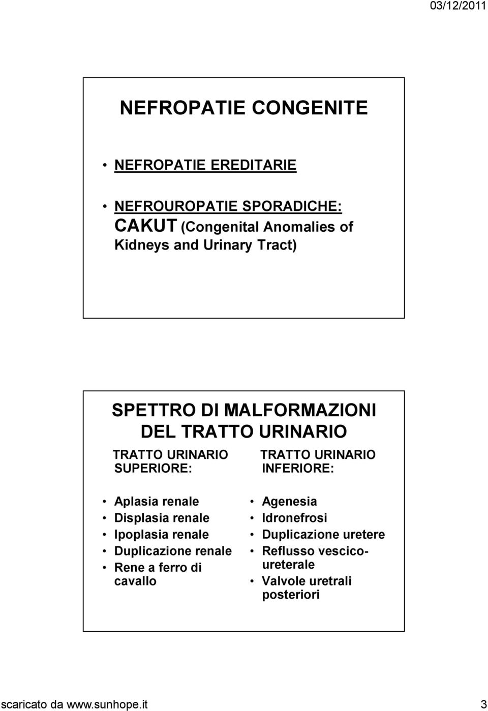 INFERIORE: Aplasia renale Displasia renale Ipoplasia renale Duplicazione renale Rene a ferro di cavallo