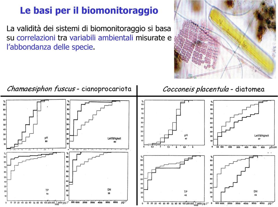 sistemi di biomonitoraggio si basa su correlazioni tra variabili ambientali
